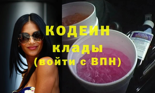 гашик Вяземский