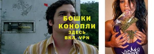 гашик Вяземский