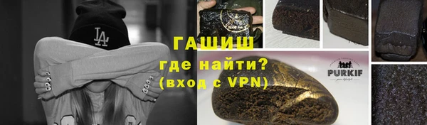 гашик Вяземский