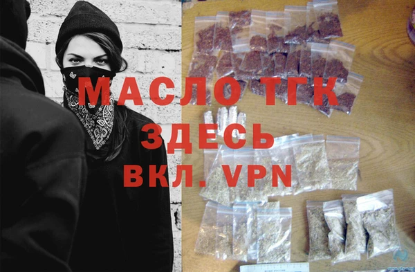 индика Волоколамск