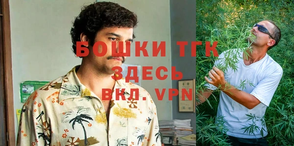 индика Волоколамск