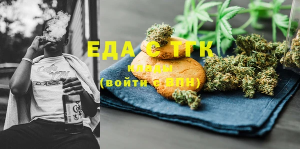 гашик Вяземский