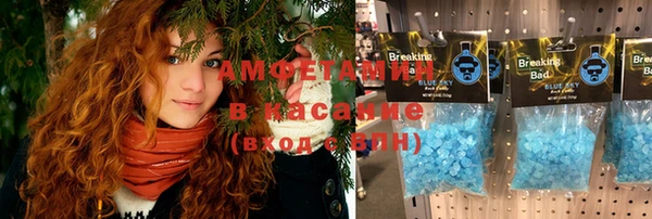 индика Волоколамск