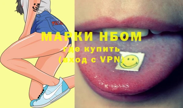 гашик Вяземский