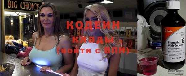индика Волоколамск