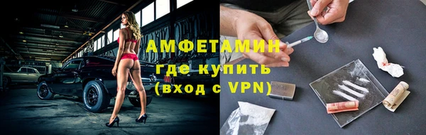 гашик Вяземский