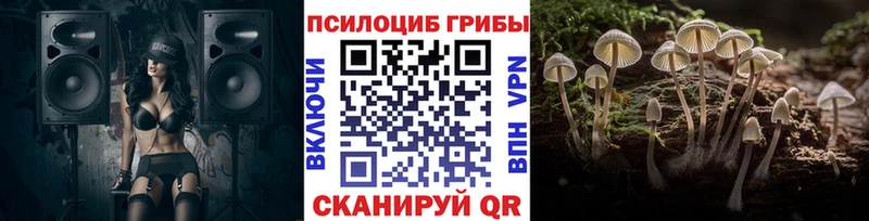 Галлюциногенные грибы прущие грибы  Купить закладки  Наволоки 